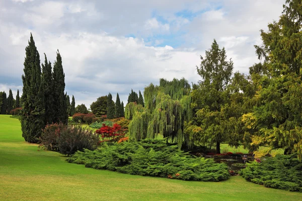 İnanılmaz güzel park-Bahçe — Stok fotoğraf