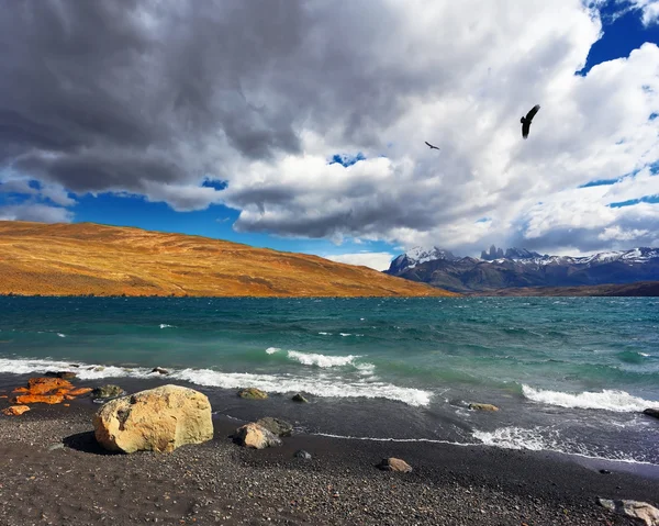 Lago Laguna Azul — Fotografia de Stock