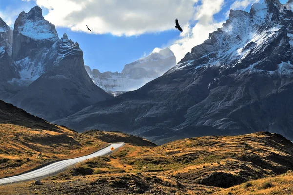 Grandioze landschap in Chileense Andes — Stockfoto