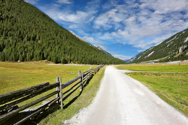 Campi separati dalla strada sterrata — Foto Stock