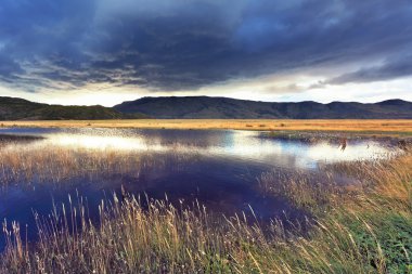 Sazlık ile büyümüş Gölü