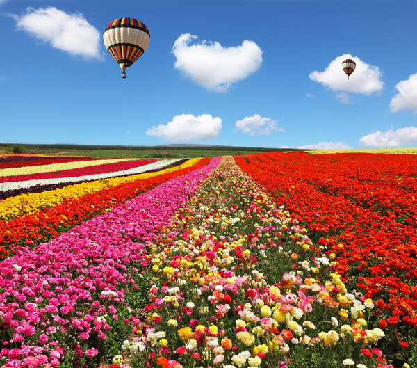 Two balloons flying over floral field