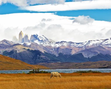 milli park torres del paine