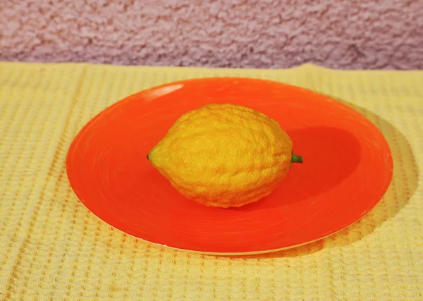 Judío ritual fruta etrog — Foto de Stock