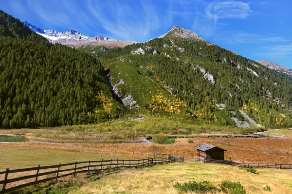 Fermiers clôtures en bois — Photo