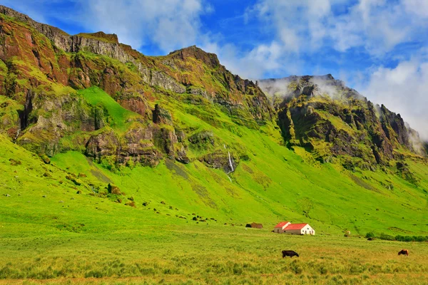 Bright green  farm fields — Stock Photo, Image