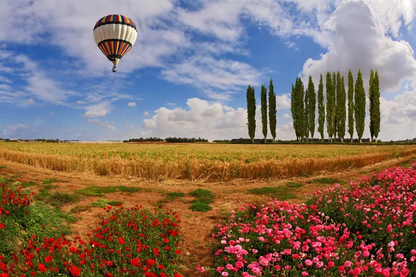 Flygande över fälten av ballong — Stockfoto