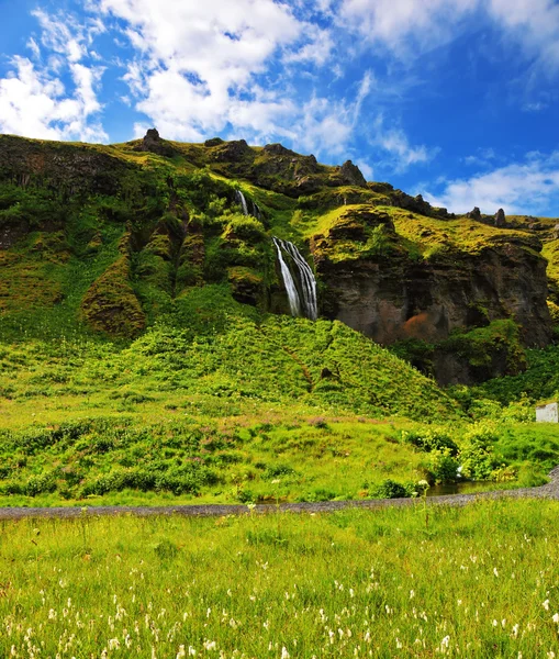 Letnie dni w Islandii. — Zdjęcie stockowe