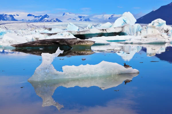 Das Eis spiegelt sich im Wasser wider — Stockfoto