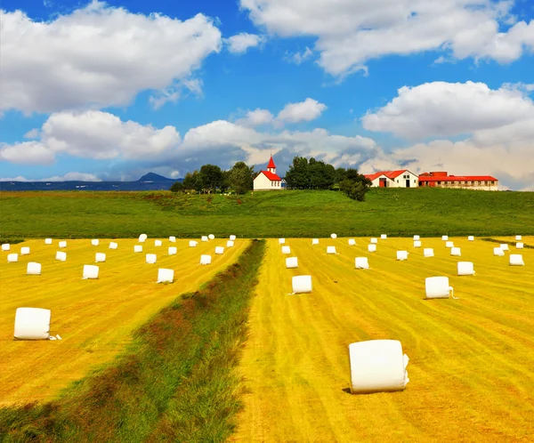 Campo após a colheita — Fotografia de Stock