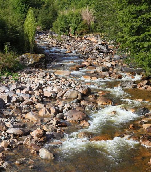 Snabb creek med kallt vatten — Stockfoto