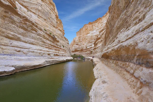 İsrail - Ein Avdat kanyonda — Stok fotoğraf