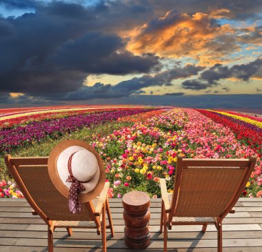 Bahar Düğünçiçeği Bloomingdale