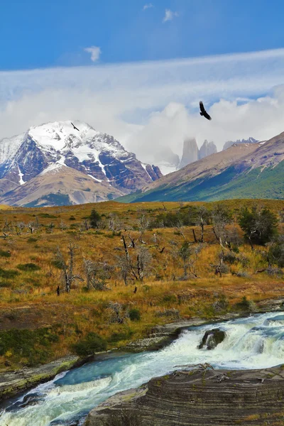 Waterval "Cascades Paine" in Chili — Stockfoto