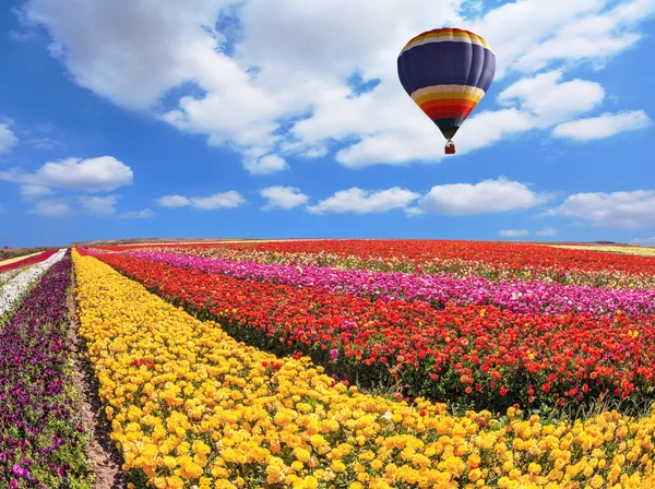 Flygande stor ballong i himlen — Stockfoto