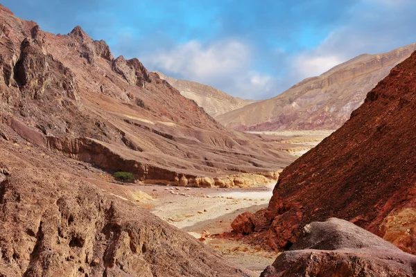 Multi-gekleurde bergen van Eilat — Stockfoto