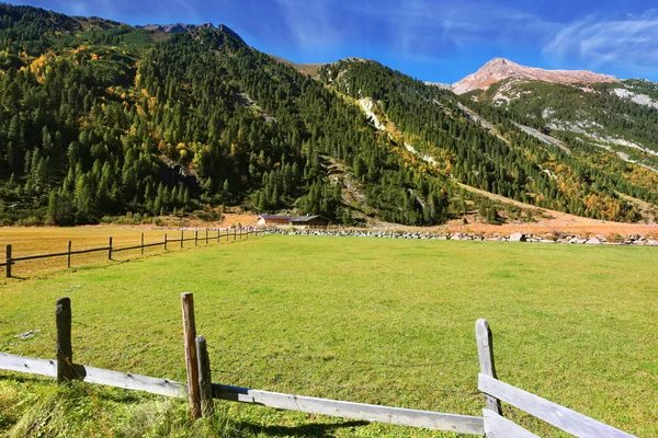 Weiden in de vallei en de bossen op de heuvels — Stockfoto