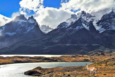 milli park torres del paine Şili