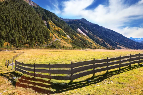 Agricoltori recinzioni in legno basso — Foto Stock