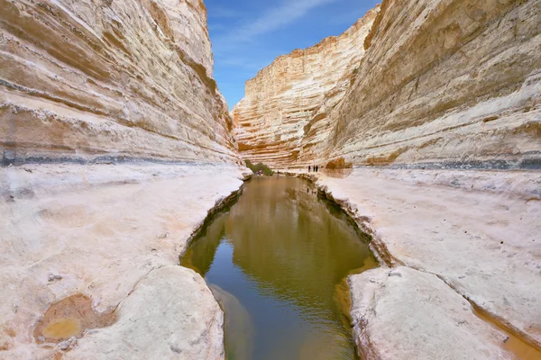 Čisté studené vody v kaňonu potoka — Stock fotografie