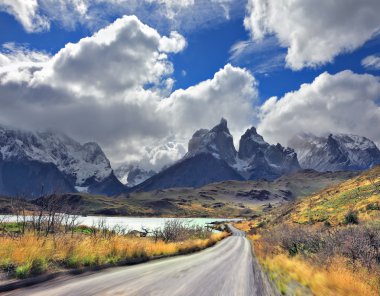 Windy day in the  Patagonia