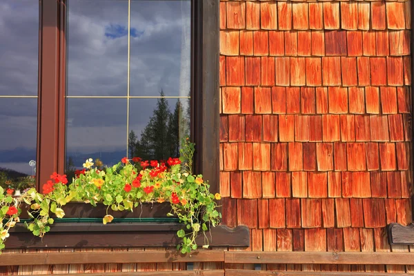 Окно с цветочными горшками — стоковое фото