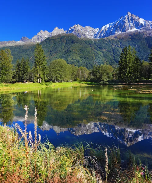 Florestas de montanha na Chamonix — Fotografia de Stock