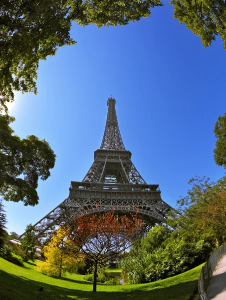Beautiful Eiffel Tower — Stock Photo, Image