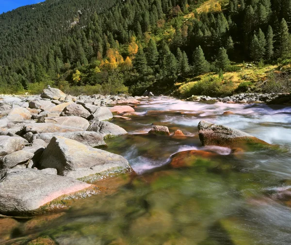 Pastoral  Krimml waterfall — Stok fotoğraf