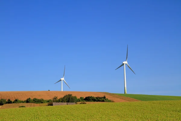 Несколько ветряных мельниц в поле — стоковое фото