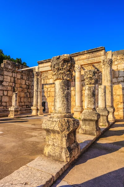 Ancient White synagogue — стокове фото