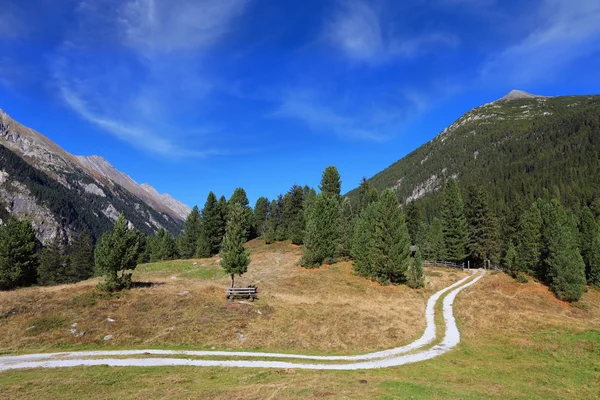 Dirt path winds between yellowed fields — Stok fotoğraf