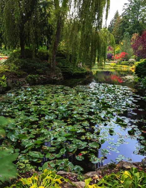 Floral park Butchart Tuinen — Stockfoto