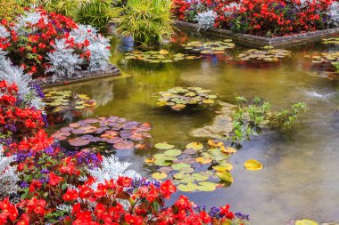  Small pond, overgrown with flowers clipart