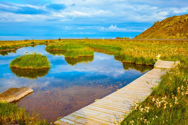 Lovely  wooden walkway — Stockfoto