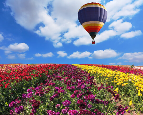 Balloon over fields with flowers