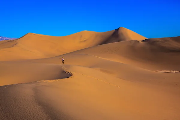 Orange sands of the desert Mesquite — Stockfoto