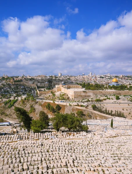 The ancient  cemetery — Stock Photo, Image