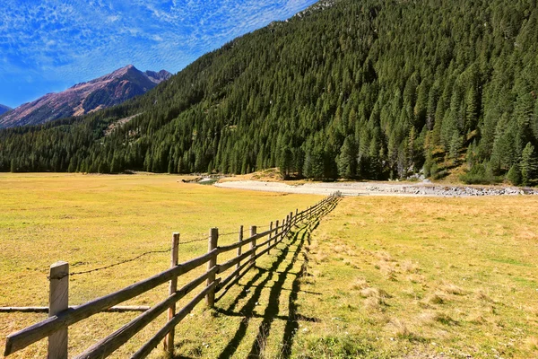 Valle alpino en Austria . —  Fotos de Stock