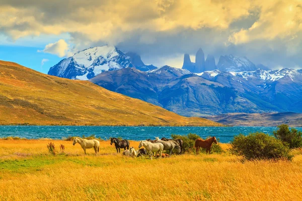 Torres del Paine sziklák — Stock Fotó