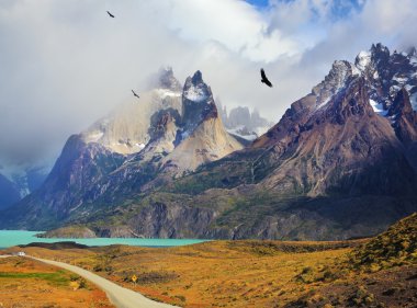 Summer day in the national park Torres del Paine clipart