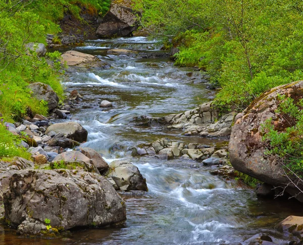 Ruisseau rapide dans les montagnes — Photo