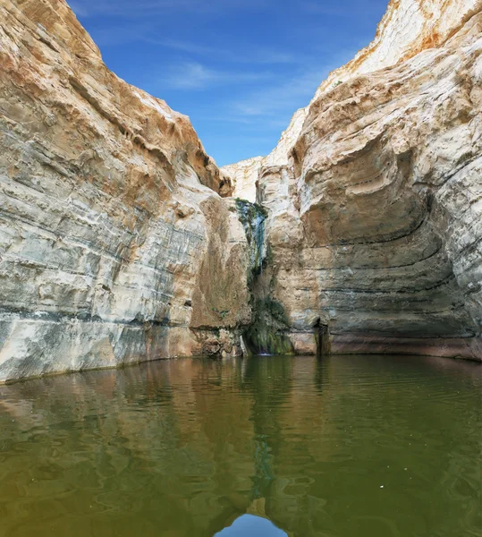 Agua fría en el cañón del arroyo —  Fotos de Stock