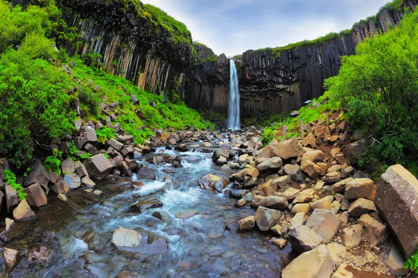 Picturesque waterfall Svartifoss — 图库照片