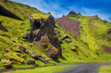kaprisli buzlu yeşil çimen