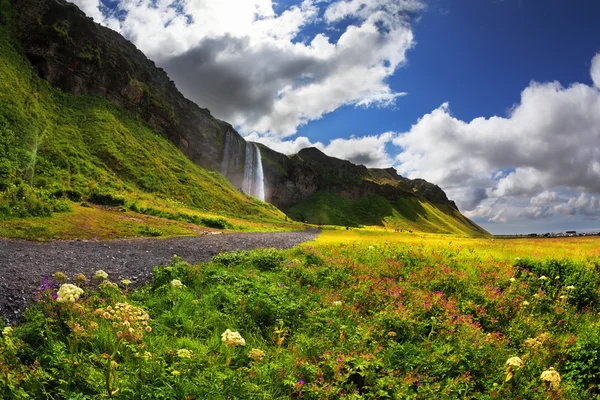 Bloeiende velden met Seljalandsfoss — Stockfoto