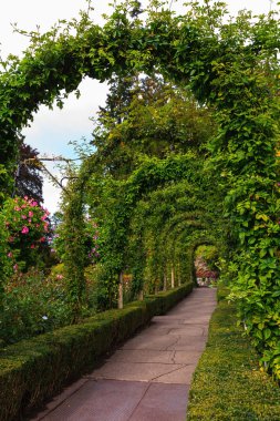 Doğal park Butchart bahçeleri