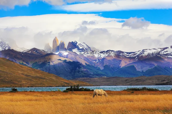 National park Torres del Paine — Stock Photo, Image