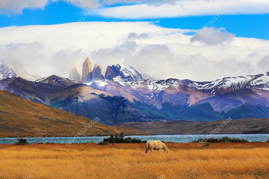National park Torres del Paine