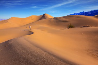 Sunrise in the orange sands of the deser